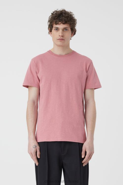 Kleidung Rosenstaub 0RP8Z1017 CLOSED Logo-T-Shirt Männer